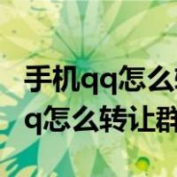 手机qq怎么转让群主成员不符合条件（手机qq怎么转让群主）