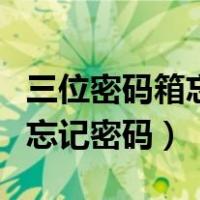 三位密码箱忘记密码怎么改密码（三位密码箱忘记密码）