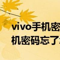 vivo手机密码忘了怎么办才能解开（vivo手机密码忘了怎么办）