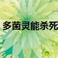 多菌灵能杀死蚜虫吗（怎么杀死蚜虫最有效）