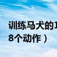 训练马犬的18个动作多少费用（训练马犬的18个动作）