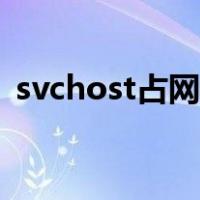 svchost占网速怎么解决（svchost占网速）