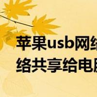 苹果usb网络共享给电脑怎么开（苹果usb网络共享给电脑）