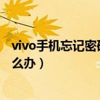 vivo手机忘记密码打不开怎么办（vivo手机开机密码忘了怎么办）