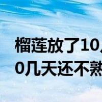 榴莲放了10几天还不熟都长毛了（榴莲放了10几天还不熟）