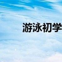 游泳初学者学哪种泳姿（游泳初学）