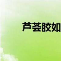 芦荟胶如何使用（芦荟胶使用方法）