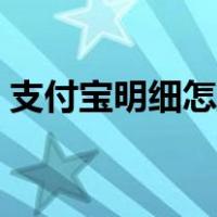 支付宝明细怎么查流水（支付宝明细怎么查）