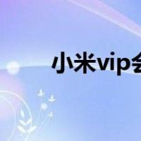 小米vip会员怎么买便宜（小米vip）