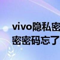 vivo隐私密码和答案忘记如何解除（手机加密密码忘了怎么办）