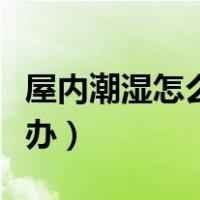 屋内潮湿怎么办如何快速去潮（屋内潮湿怎么办）