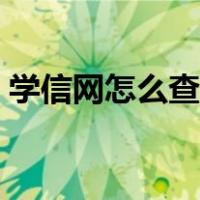 学信网怎么查学历信息（学信网怎么查学历）