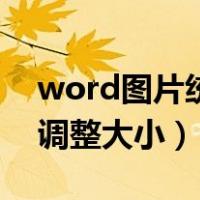 word图片统一调整大小f4（word图片统一调整大小）