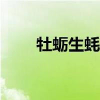 牡蛎生蚝是一个东西吗（牡蛎生蚝）