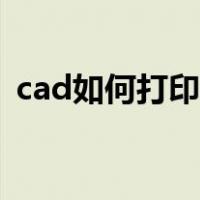 cad如何打印图纸视频（cad如何打印图纸）