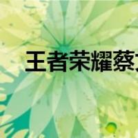 王者荣耀蔡文姬出装（王者荣耀 蔡文姬）