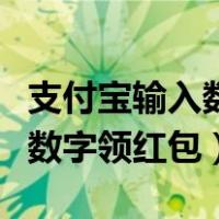 支付宝输入数字领红包怎么来的（支付宝输入数字领红包）