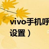 vivo手机呼叫转移怎么设置（手机转接怎么设置）