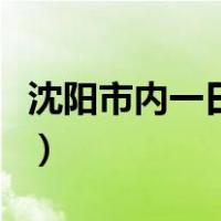 沈阳市内一日游景点（沈阳一日游必去的景点）