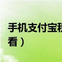 手机支付宝积分在哪里看（支付宝积分在哪里看）