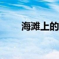 海滩上的贝壳怎么画（贝壳怎么画）