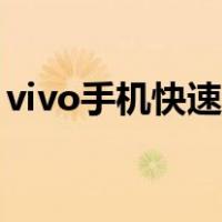 vivo手机快速充电（vivo手机怎么快速充电）