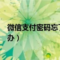 微信支付密码忘了怎么办没银行卡（微信支付密码忘了怎么办）