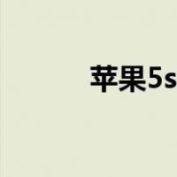 苹果5s电池容量（苹果5s电池）