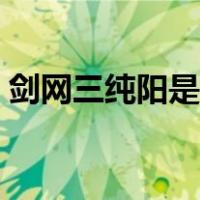 剑网三纯阳是选剑气还是气纯（剑网三纯阳）