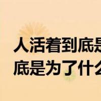 人活着到底是为了什么这首歌歌词（人活着到底是为了什么）