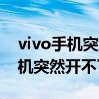 vivo手机突然开不了机只显示vivo（vivo手机突然开不了机）