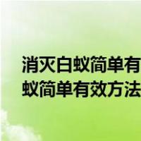 消灭白蚁简单有效方法!2018年3月21日健康家居（消灭白蚁简单有效方法）