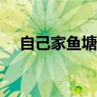 自己家鱼塘里如何钓鲫鱼（如何钓鲫鱼）