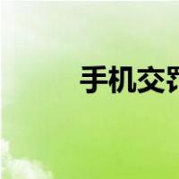 手机交罚款不扣分（手机交罚款）