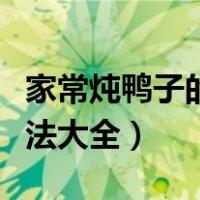 家常炖鸭子的做法大全视频（家常炖鸭子的做法大全）