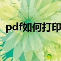 pdf如何打印两张在一张上（pdf如何打印）