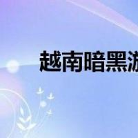 越南暗黑游逍遥哥官网（越南暗黑游）