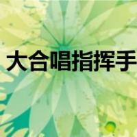 大合唱指挥手势速成（大合唱动作手势图片）