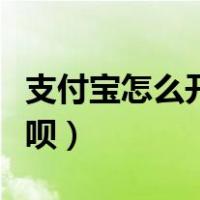 支付宝怎么开通花呗借呗（支付宝怎么开通花呗）