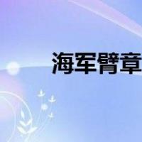 海军臂章图片高清壁纸（海军臂章）