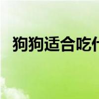 狗狗适合吃什么蔬菜（狗狗吃什么蔬菜好）