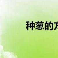 种葱的方法及过程（种葱的方法）