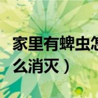 家里有蜱虫怎么消灭简单办法（家里有蜱虫怎么消灭）