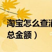 淘宝怎么查消费总金额明细（淘宝怎么查消费总金额）