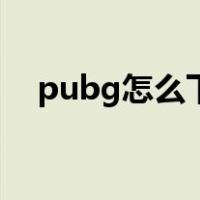 pubg怎么下载国际服（pubg怎么下载）