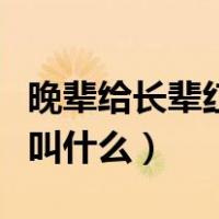 晚辈给长辈红包叫什么名字（晚辈给长辈红包叫什么）