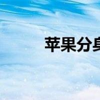 苹果分身软件源（苹果分身软件）