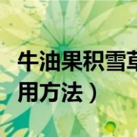 牛油果积雪草泡泡面膜使用方法（泡泡面膜使用方法）