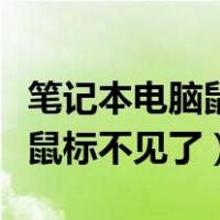 笔记本电脑鼠标不见了怎么恢复（笔记本电脑鼠标不见了）