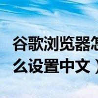 谷歌浏览器怎么设置中文模式（谷歌浏览器怎么设置中文）